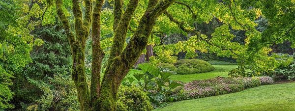 Washington State-Bainbridge Island Panoramic of garden